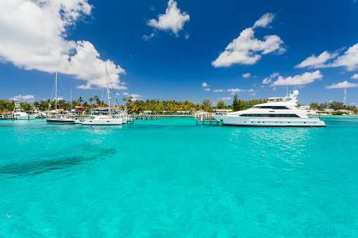 The Whale, Bimini Islands, Bahamas