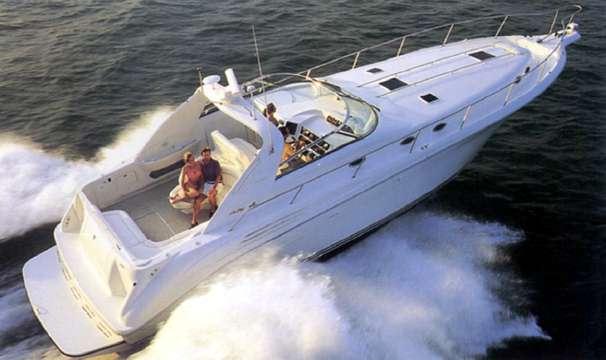 sundancer yacht catamaran charter